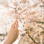 paragnost helderziende Isha-  Medium / Vertrouwenspersoon, Intuitief helder-wetend, voelend en helderziend transmedium geeft inzichten op het gebied van liefde, relatie, familie, werk, zakelijk, huur/verhuur, koop en verkoop. Voert karakteranalyses uit en maakt contracten, juridische zaken, rechtszaken, strafzaken, opsporingen en vermissing zaken inzichtelijk. Ik ben magnetiseur en zuiver negatieve energieen. Al 40 jaar ervaring achter de schermen voor de media. Vertrouwenspersoon Isha beschikt over een aanvullend zesde zintuig o.a. op het gebied van antropologie en/of bestuurskunde. Stel uw vraag kort, inhoudelijk en duidelijk. Inzicht op korte termijn maar ook inzicht in het effect op langere termijn. Indien nodig maak ik gebruik van de speelkaarten. Als aanvulling is het mogelijk een foto te beschrijven indien u dit wenst. De gesprekken zijn helder en duidelijk en we gaan van het goede uit! Liefde is een weten voor een ieder die gelooft. Levensvragen of maatschappelijke vraagstukken beantwoord krijgen op een aardse en spirituele wijze met de juiste inzichten, tips en tools. Vgr Isha uw medium-vertrouwenspersoon.
Isha werkt met duidelijke gerichte vragen rond uw vraagstelling of vraagstukken. (voor open of algemene vragen raadpleeg een collega) Bel en e-mail met  paragnosten en helderzienden. Helderziende en paragnost hulplijn waar een   helderziende  en paragnost je inzichten geeft in liefde en toekomst.  