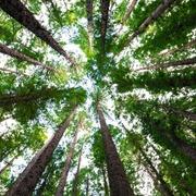 paragnost helderziende Natasha- Hi, ik ben er voor jou voor als jij even de bomen door het bos niet meer ziet staan. Ik zet jou graag in je volle kracht en eigen energie stel jezelf a.u.b. ook open voor mij. Alleen dan kunnen wij samen kijken wat voor advies bij jou past en wat jouw toekomst jou mag brengen. Ik help je zeer graag bij een rouwproces of gemis van een dierbare. Wellicht mag ik wel een mooie boodschap aan u doorgeven. Mijn doel is om jou met een glimlach en inzicht achter het scherm vandaan te laten gaan en dat jij verder kunt met mijn inzichten. Bel en e-mail met  paragnosten en helderzienden. Helderziende en paragnost hulplijn waar een   helderziende  en paragnost je inzichten geeft in liefde en toekomst.  